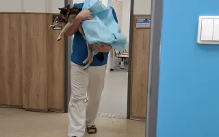 Druhá šance pro Dirka z osady na lepší život