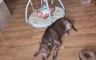 Sheilinka už dvakrát vyhrála. Pomozme jí bojovat potřetí.