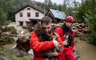 Pomoc zvířátkům bez domova zasaženým povodněmi