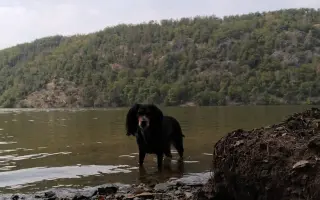 Shamy bouje s bolestí. Pomozme jí prožít stáří důstojně