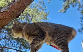 8 nalezených Lásek