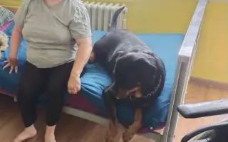 Pomozme Lucce překonat těžké období