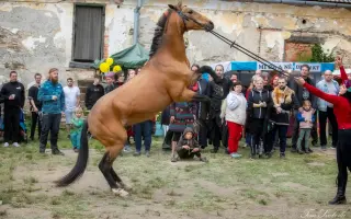 ZACHRAŇME ZÁMEK PTENÍ