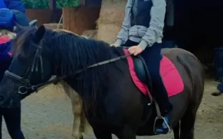 Školní potřeby pro Péťu, Jarouška a Anetku