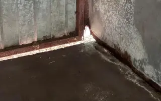 Útulek, který zachránil tisíce zvířat, dosluhuje. Pomozte nám ho opravit.