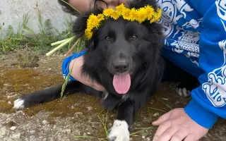 Pomoc pro Lilinku, která bojuje o život.