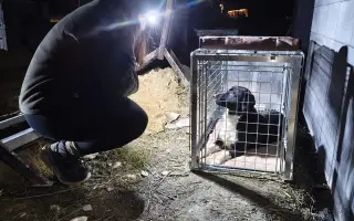 Odchytová technika pro spolek Pátrání a odchyty zvířat ARES z.s.