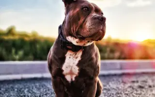 Pomozme Ele opět poznávat svět