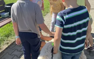 Děti, Coffey a čistější okolí - pomozte nám učit lásce k přírodě