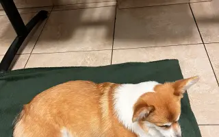 Pohyb pro malou Nami