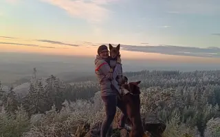 Pro cestu zpět na všechny čtyři