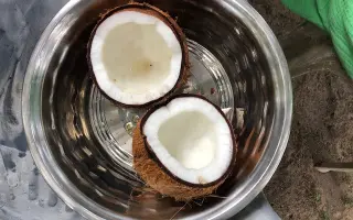 Pomozte vytvořit oázu klidu: jógové centrum na Srí Lance