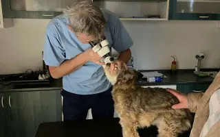 Lálinka by chtěla zase vidět