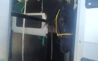 Pomozte Melcherovi prožít důstojný důchod