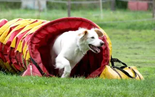 Šťastnější dny pro Miu