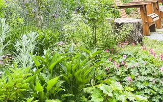 „Kniha, která promění vaši zahradu v místo plné přírody, života a zdravé půdy.“