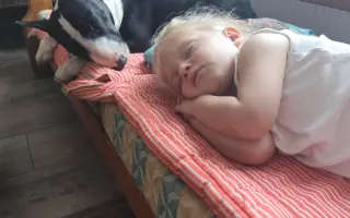 Zázraky se dějí! Pomozme našemu psímu klukovi zdolat nádor