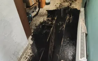 Pomoc pro Danielu a její děti