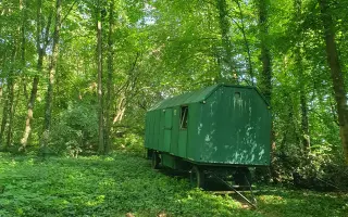 Pomozte nám vytvořit místo pro dětství Mezi stromy