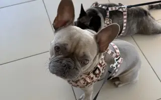 Archie bojuje. A my s ním ♥️