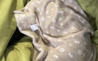 Pomozme Calvinovi zpět na nožičky