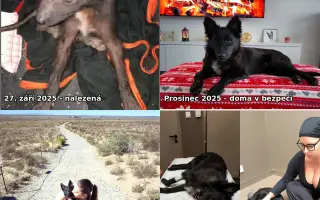Ari přežila poušť. Teď ji ničí bolest...