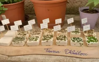 Pomozte nám zachránit zvířata a naši rodinnou farmu probudit k životu