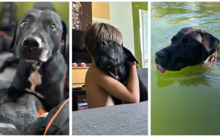 Nikita chce ještě zůstat s námi
