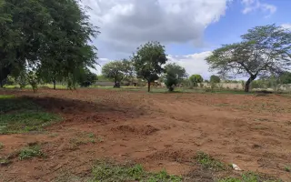 Pomoz nastartovat udržitelnou budoucnost pro komunity v Tanzanii ohrožené suchem