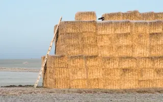 Podpořte vydání knihy Jana Holkupa - POSEDY