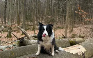 Pomohli jste Meggie k uzdravení