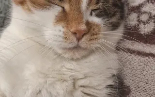 9 nalezených Lásek