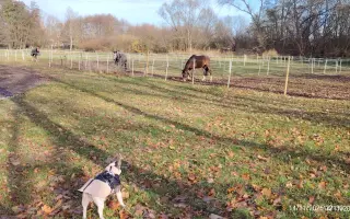 Zachráňte Marilyn bojující s rakovinou