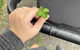 Pomozme Kristýně postavit se znovu na nohy. Lásky mají dost, financí málo.