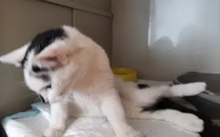 Kostík, který potřebuje operaci