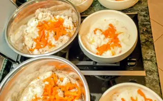 POMOC PRO FOXÍČKA, ASPENA A TAFFY-JACKA