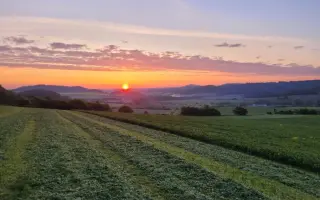 Dron pro srnčata