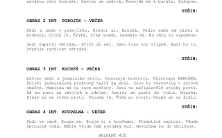 Podpořte krátký STUDENTSKÝ FILM - every child can fly