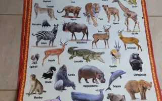 Pomozme masajským dětem: Na opravu školky, vybavení a stravu