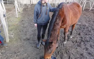 Podpořte koňácký kroužek pro děti a mládež