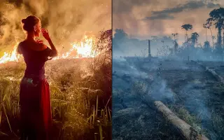 Šamanské Peru: kniha o světě, který mizí — a možnost pomoci, aby úplně nezmizel.