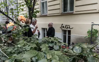 Salón; Koncept Letná s.r.o. volá o pomoc!