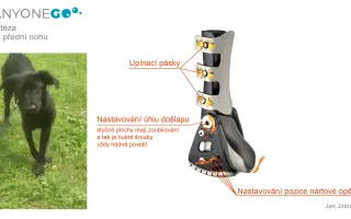 Ortéza pro Máju
