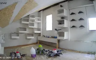 Provoz půdního holubníku na Žižkově