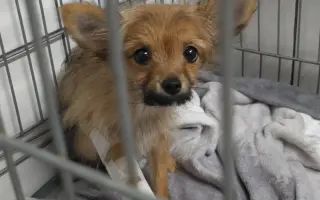 Lepší život pro Katie