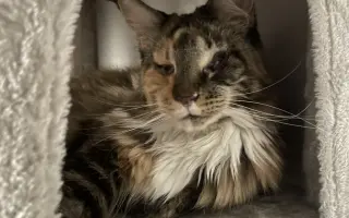 Pomoc pro Enie v boji s nádorem