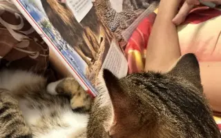 Pomoc pro kocourka Barbose: Boj s náhlou epilepsií