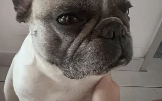 Pomoc pro Miley