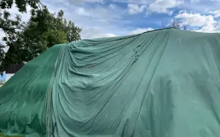 Sucho vypálilo pastviny. Zachráněná zvířata potřebují seno.