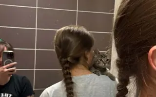 Pomohli jste proměnit kočičí svět v lepší místo